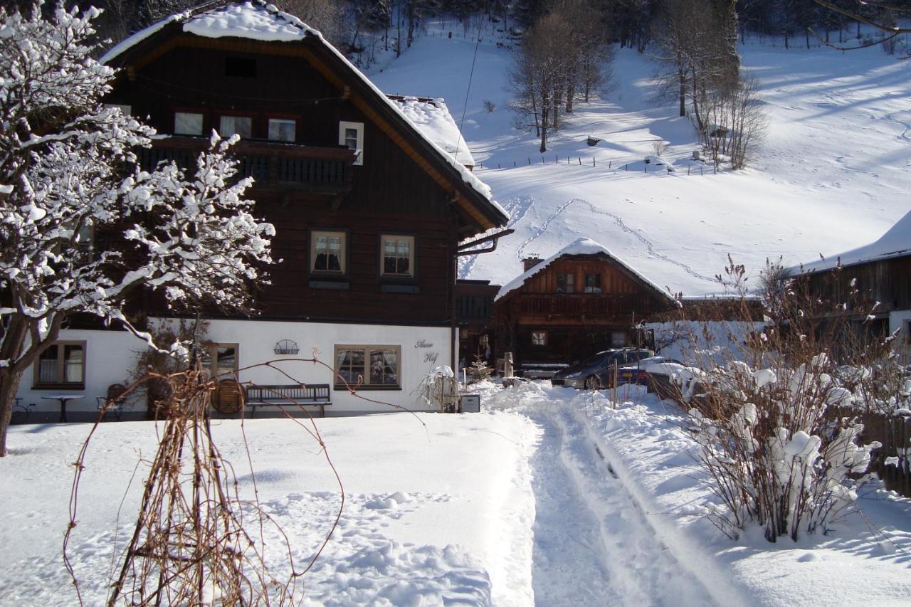 Auerhof Villa Шладминг Екстериор снимка