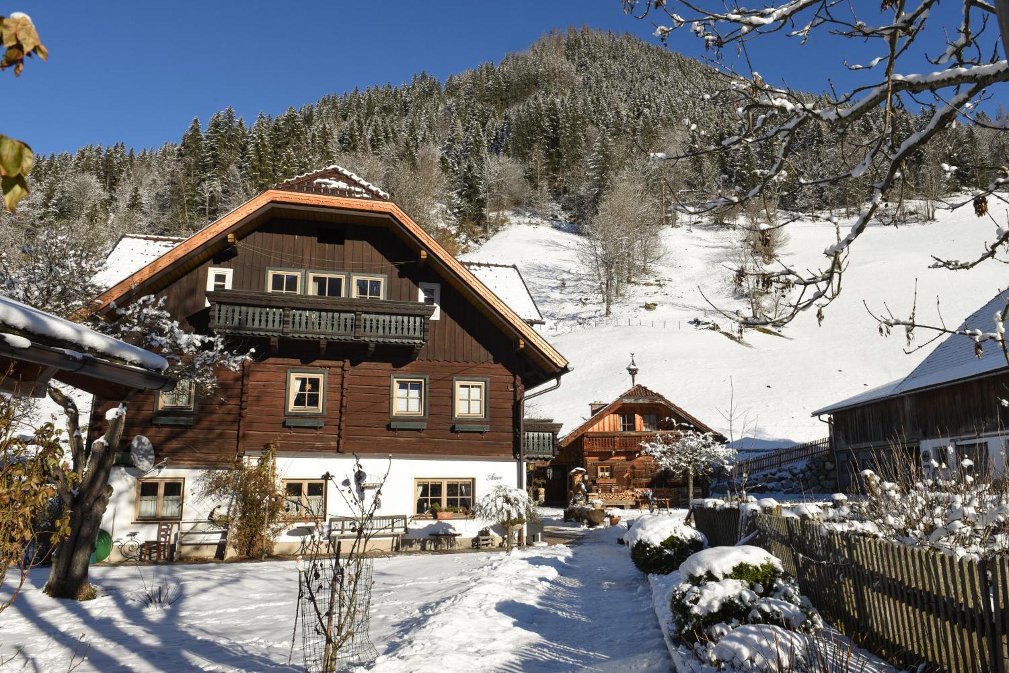 Auerhof Villa Шладминг Екстериор снимка