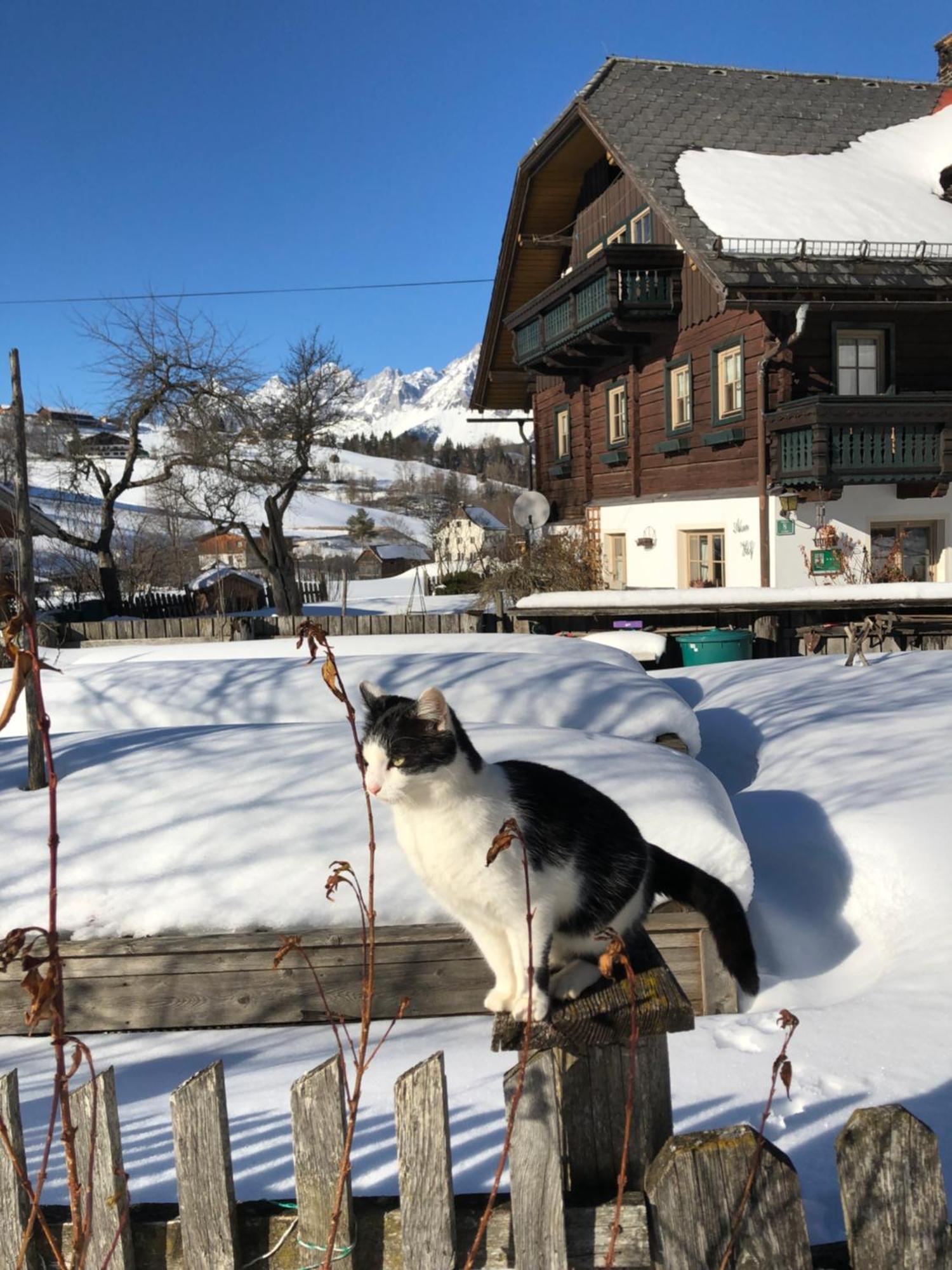 Auerhof Villa Шладминг Екстериор снимка