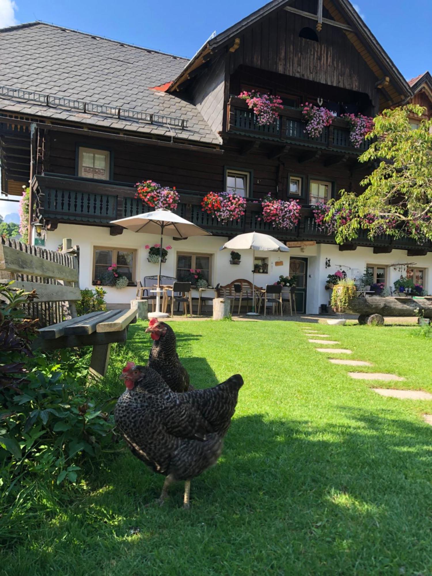 Auerhof Villa Шладминг Екстериор снимка